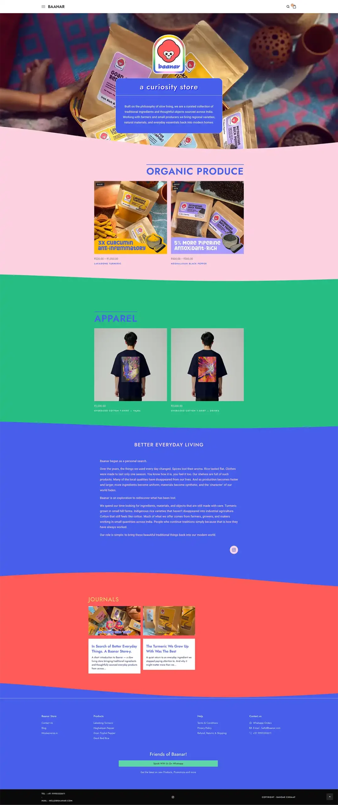 Website Homepage Full